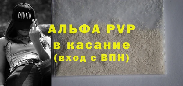 шишки Алексин