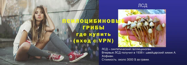 шишки Алексин